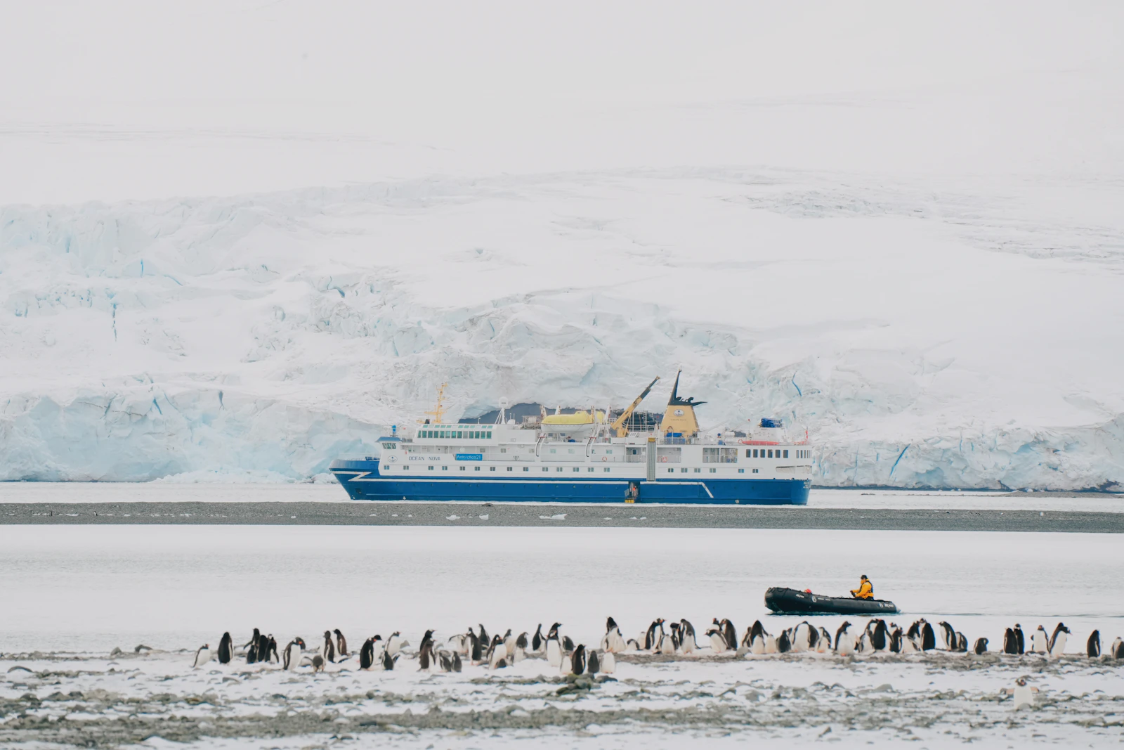 Expedition vessel, glaciers and penguins in Antarctica